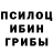 Галлюциногенные грибы мицелий Kevin Searles